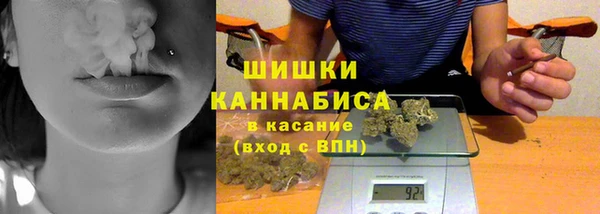индика Балабаново