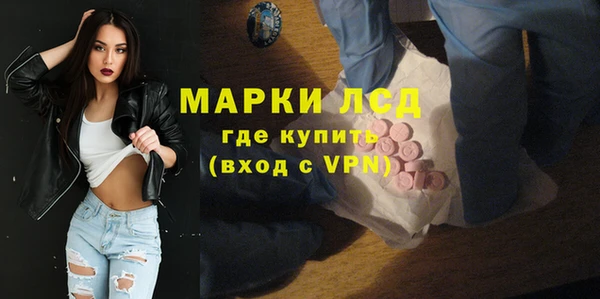 индика Балабаново