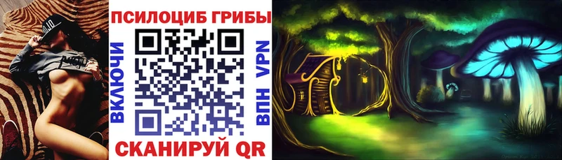 kraken зеркало  закладка  Георгиевск  Галлюциногенные грибы Psilocybe 