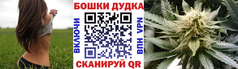 omg ссылки  Георгиевск  Марихуана индика 